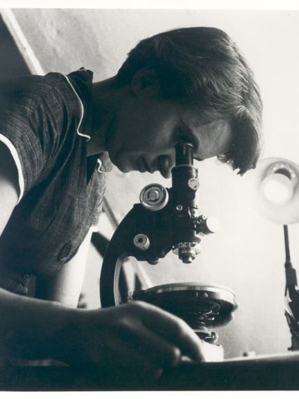 Image of File:Rosalind Franklin.jpg
